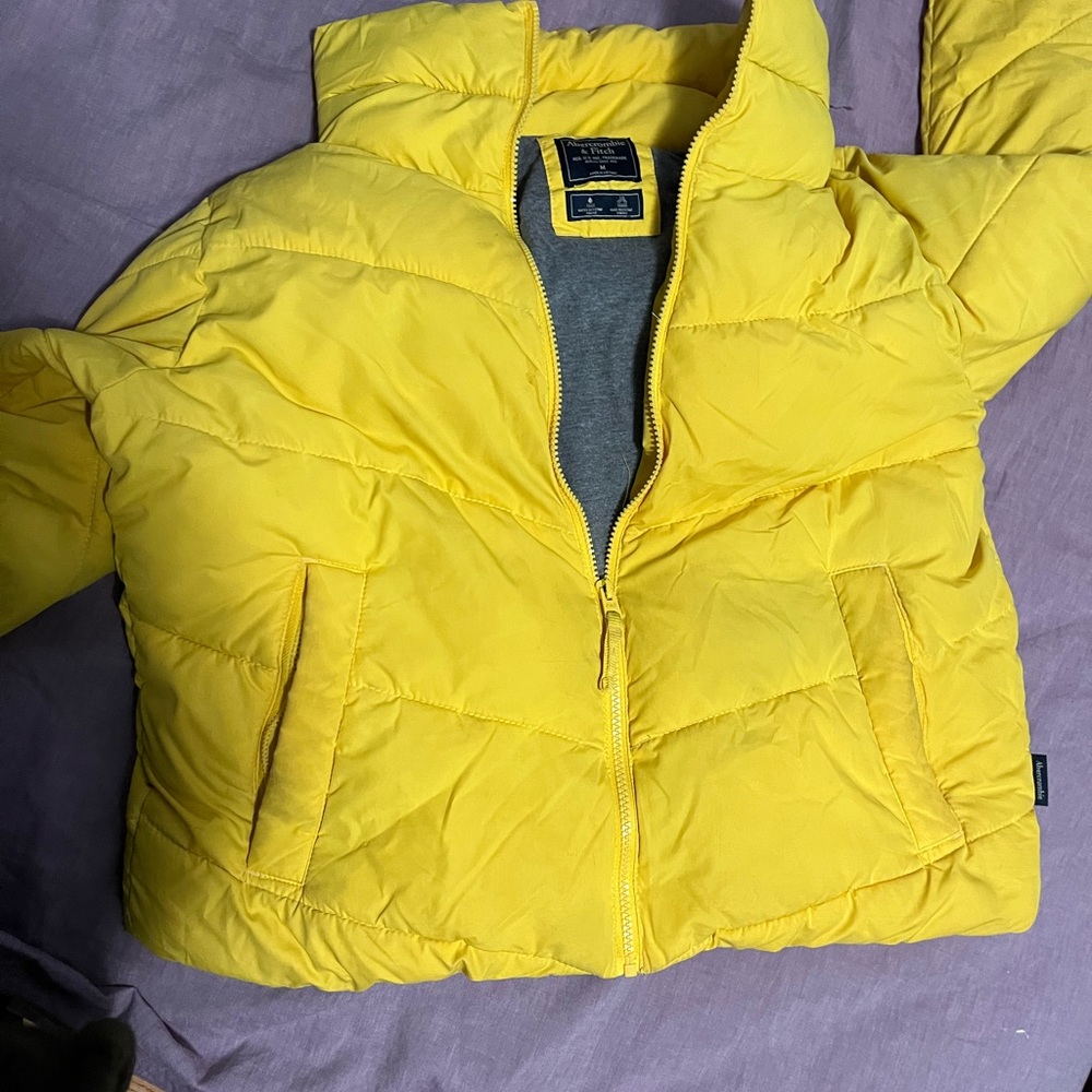 Yellow Puffer